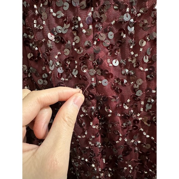 Elegant Burgundy Sequin Dress - Picture 14 of 16